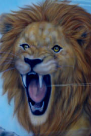 lionface.jpg
